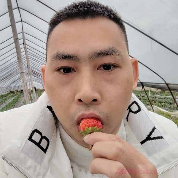安福征婚相亲网