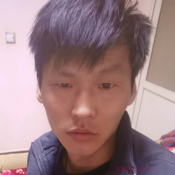 安福征婚相亲网